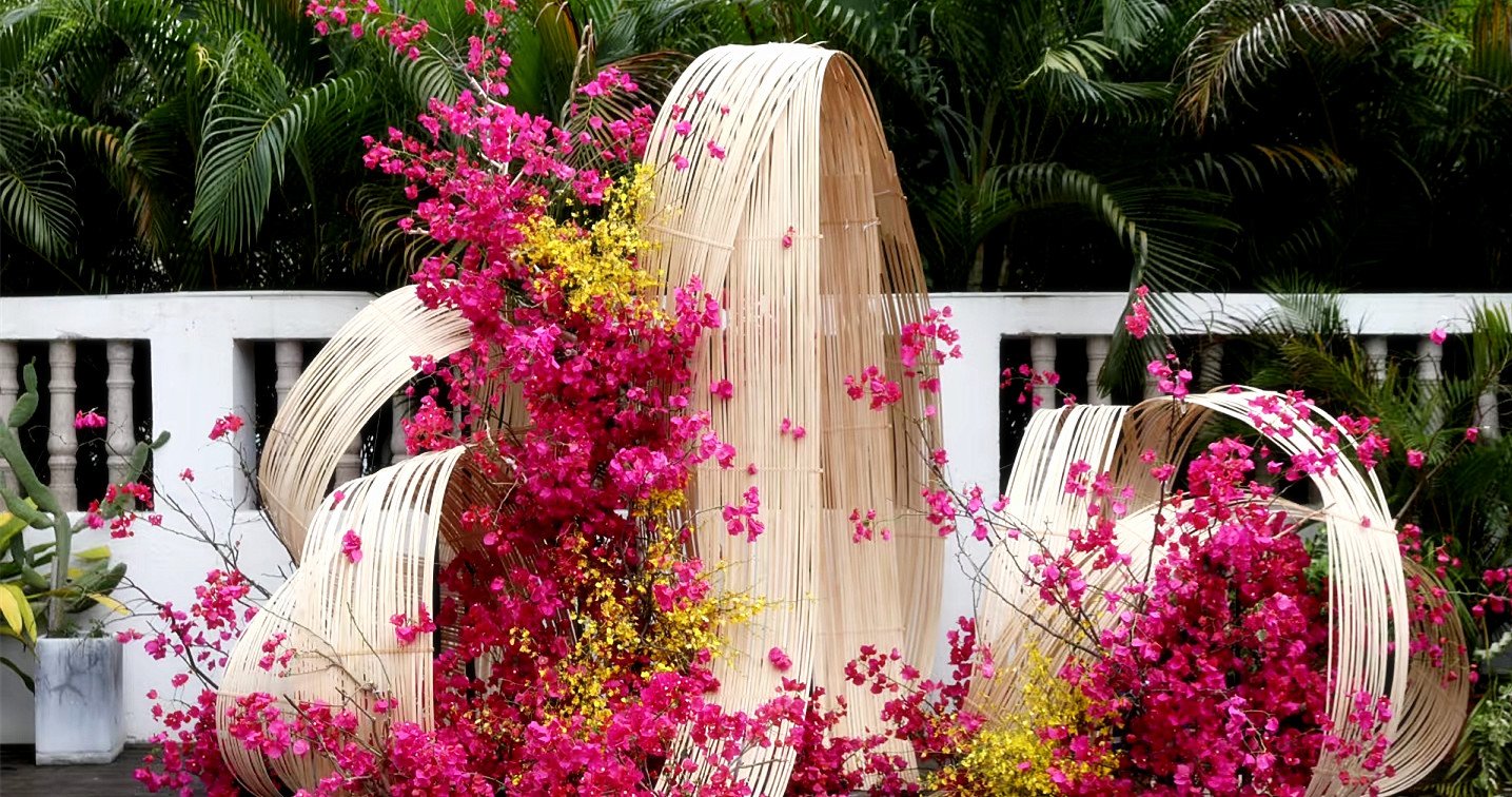 Bougainvillea for wedding decor