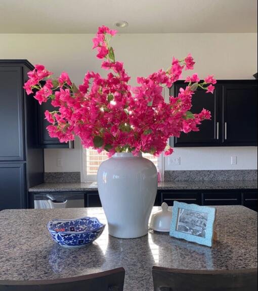 Bougainvillea for kitchen