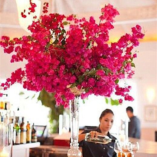 bougainvillea for Wedding